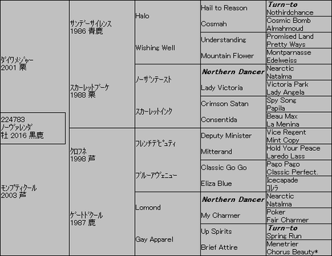 ノーヴァレンダ5代血統表