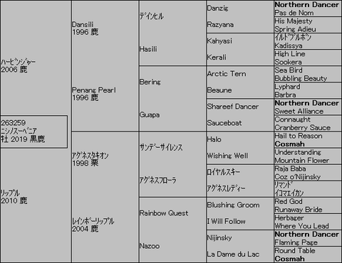 ﾆｼﾉｽｰﾍﾞﾆｱ５代血統表