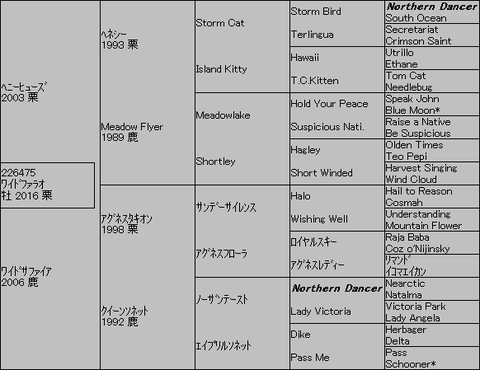 ﾜｲﾄﾞﾌｧﾗｵ５代血統表