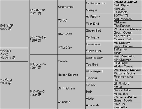 ｲﾍﾞﾘｽ５代血統表