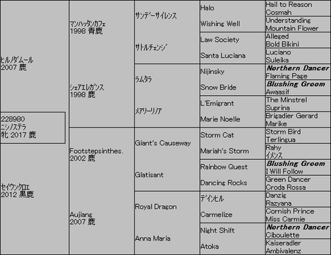 ﾆｼﾉｽﾃﾗ５代血統表