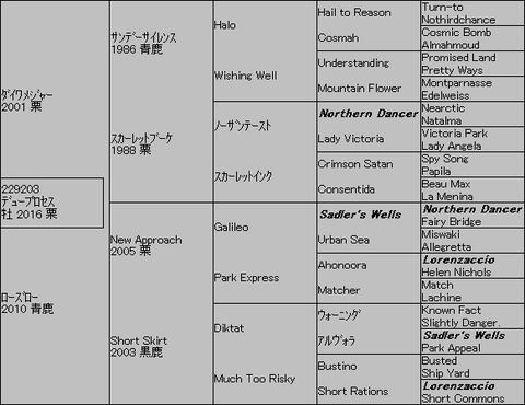 デュープロセス5代血統表