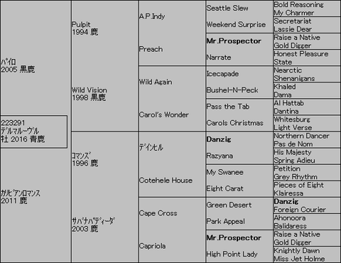 デルマルーヴル5代血統表