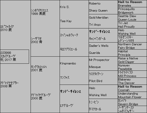 ｽｶｲｸﾞﾙｰｳﾞ５代血統表