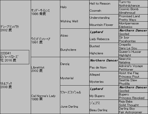 ﾛｼﾞｬｰﾊﾞﾛｰｽﾞ５代血統表