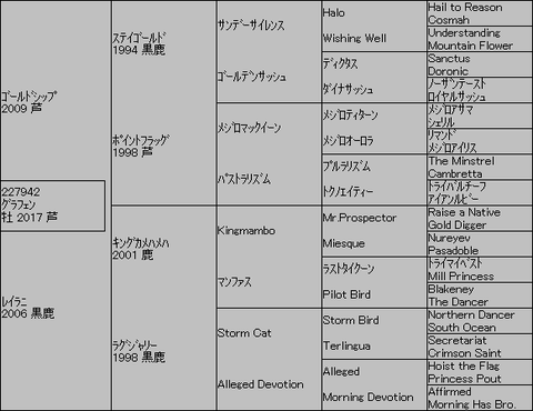 グラフェン5代血統表