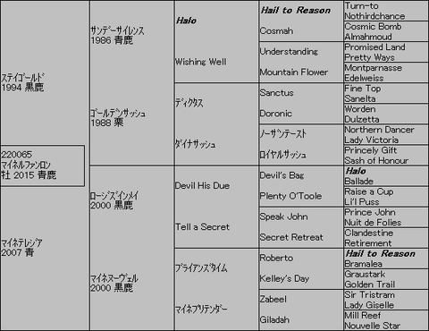 ﾏｲﾈﾙﾌｧﾝﾛﾝ５代血統表