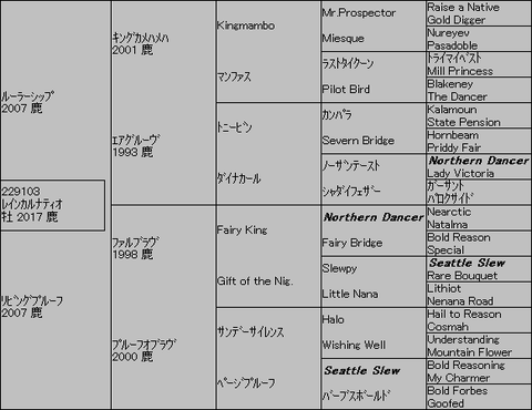 ﾚｲﾝｶﾙﾅﾃｨｵ５代血統表