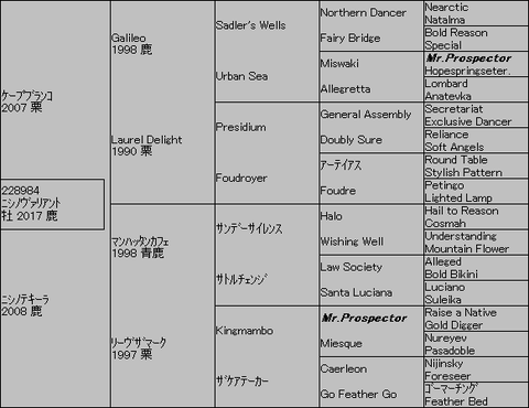 ニシノヴァリアント5代血統表