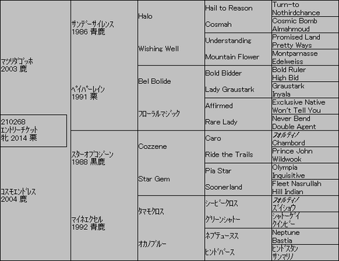 ｴﾝﾄﾘｰﾁｹｯﾄ５代血統表