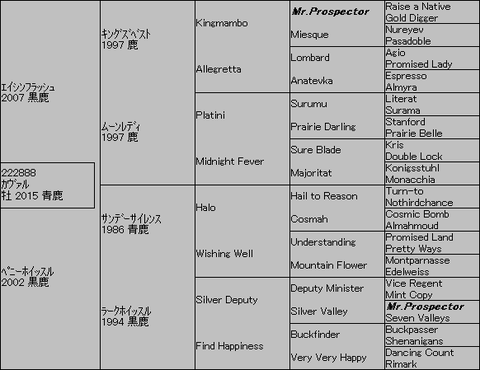 カヴァル5代血統表