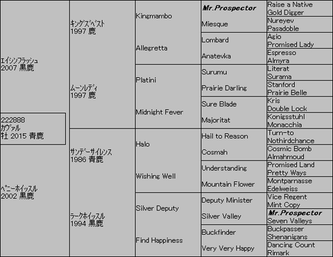 ｶｳﾞｧﾙ５代血統表