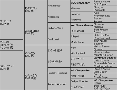メイショウケイメイ5代血統表