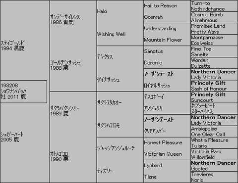 ｼｮｳﾅﾝﾊﾞｯﾊ５代血統表