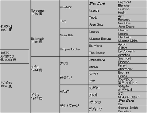 ﾒｼﾞﾛﾎﾞｻﾂ　５代血統表