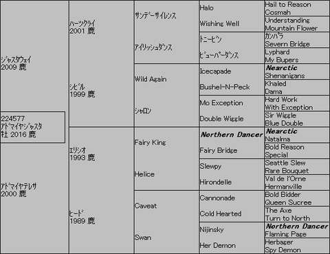 アドマイヤジャスタ5代血統表