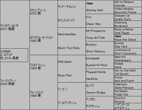 ｴｰﾙｳﾞｫｱ５代血統表