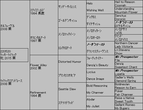 ﾗｯｷｰﾗｲﾗｯｸ５代血統表