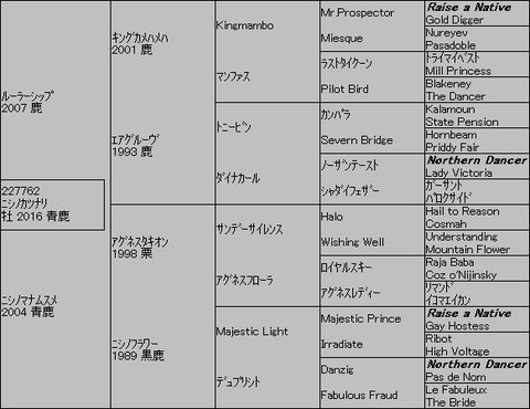 ﾆｼﾉｶﾂﾅﾘ５代血統表