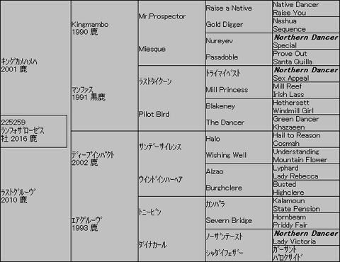 ランフォザローゼス5代血統表