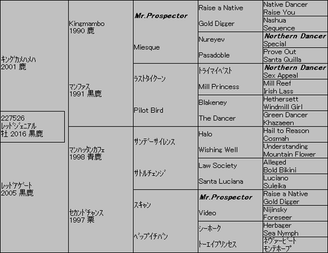 レッドジェニアル5代血統表