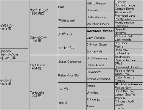 ｽﾀｰｵﾌﾞﾍﾟﾙｼｬ５代血統表