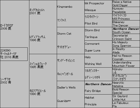 サートゥルナーリア５代血統表