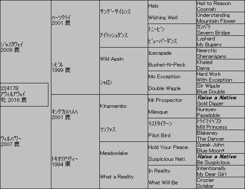 ｱｳｨﾙｱｳｪｲ５代血統表