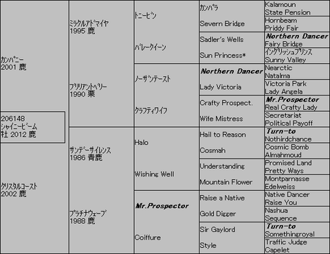 ｼｬｲﾆｰﾋﾞｰﾑ５代血統表