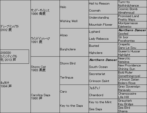 エイシンティンクル5代血統表