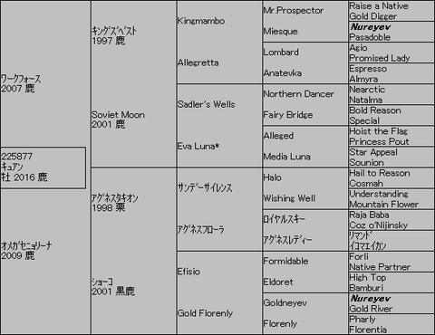 キュアン5代血統表