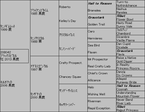 ﾌﾞﾗｯｸｽﾋﾟﾈﾙ５代血統表