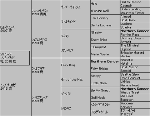 ﾆｼﾉｵｲｶｾﾞ５代血統表