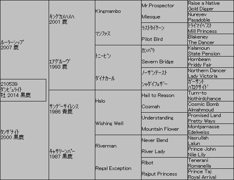 ﾀﾞﾝﾋﾞｭﾗｲﾄ５代血統表