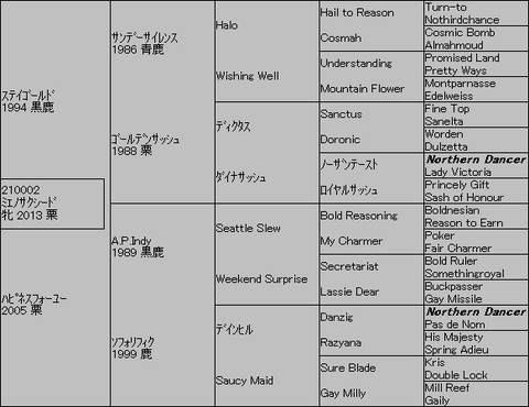 ミエノサクシード5代血統表