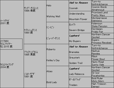 タイムフライヤー5代血統表