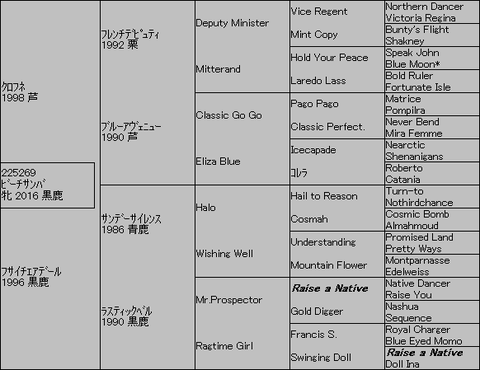 ビーチサンバ5代血統表