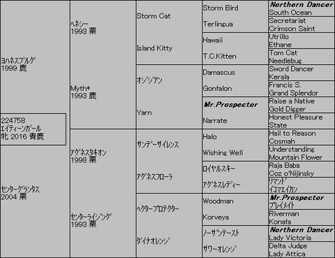 エイティーンガール5代血統表