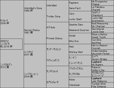 ニシノスピカ５代血統表