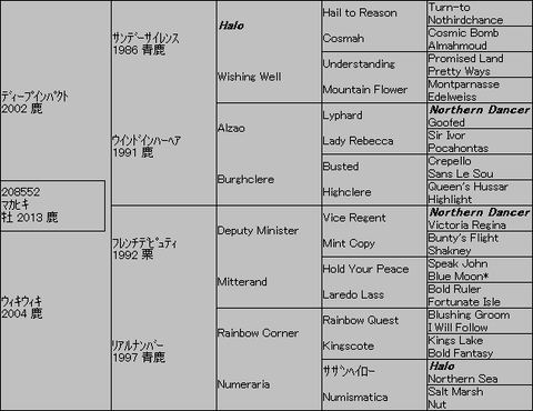 マカヒキ5代血統表