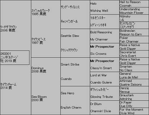 ニシノボルテージ５代血統表