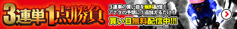 3連単1点勝負