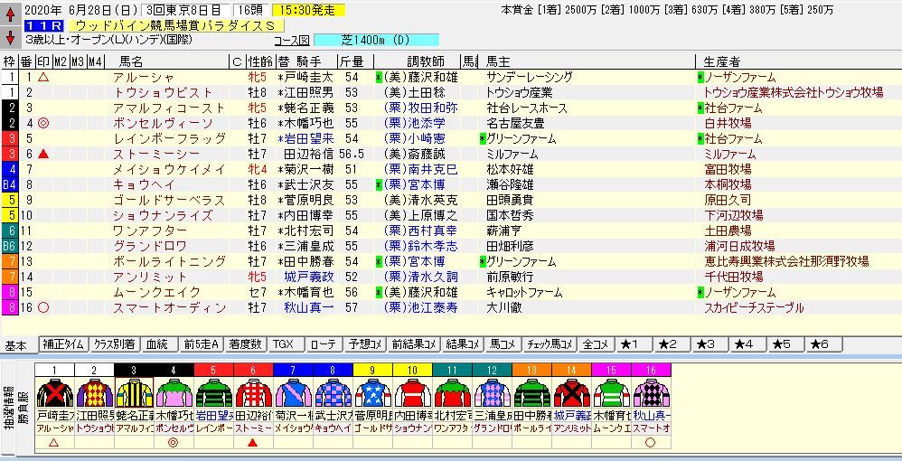 ウッドバイン競馬場賞パラダイスステークス ｌ ２０２０ 予想 競馬雑記