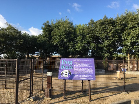 9368E7C8-65A2-4BED-969E-7374518BEFE4