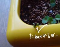 20100508142032