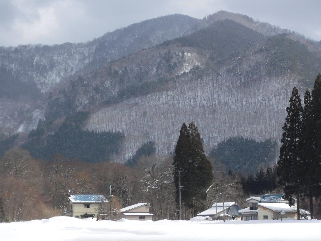 2023年2月9日 : 渓風小舎便り2