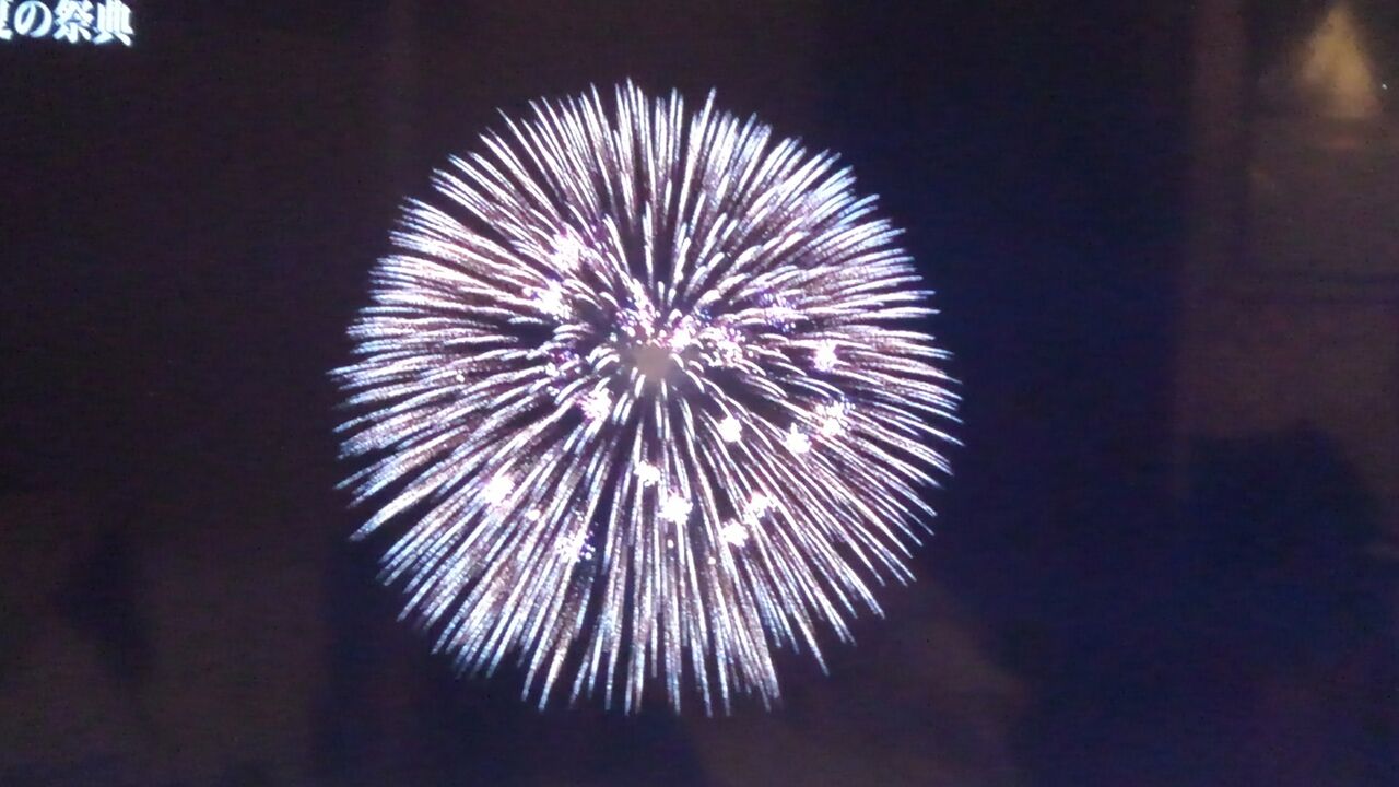 花火 揚げ花火 仕掛け花火 花火師 遠花火 線香花火 手花火など ハックン俳句でしょ 愛犬ハックと俳句を楽しむ日々