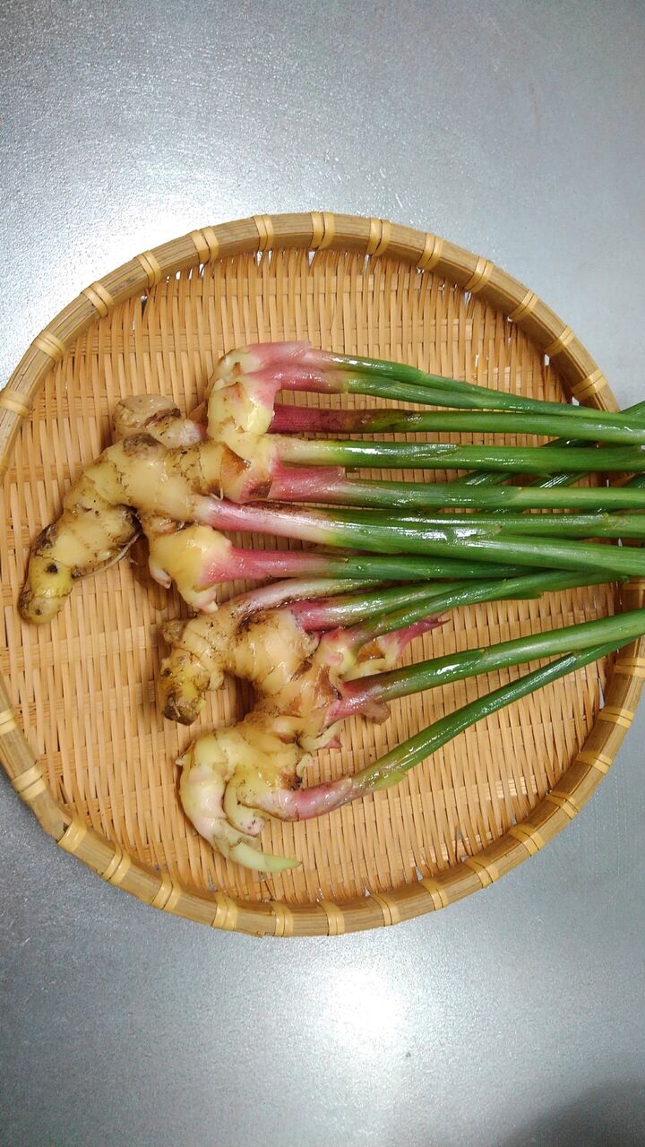 生姜 薑 はじかみ 葉生姜 新生姜 古生姜など ハックン俳句でしょ 愛犬ハックと俳句を楽しむ日々