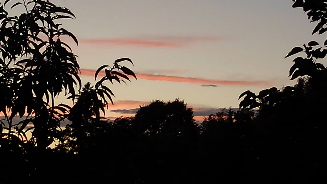 秋の夕焼け 秋夕焼 あきゆやけ 秋夕映 あきゆうばえ ハックン俳句でしょ 愛犬ハックと俳句を楽しむ日々 秋の夕焼け 秋夕焼 あきゆやけ 秋夕映 あきゆうばえ ハックン俳句でしょ 愛犬ハックと俳句を楽しむ日々