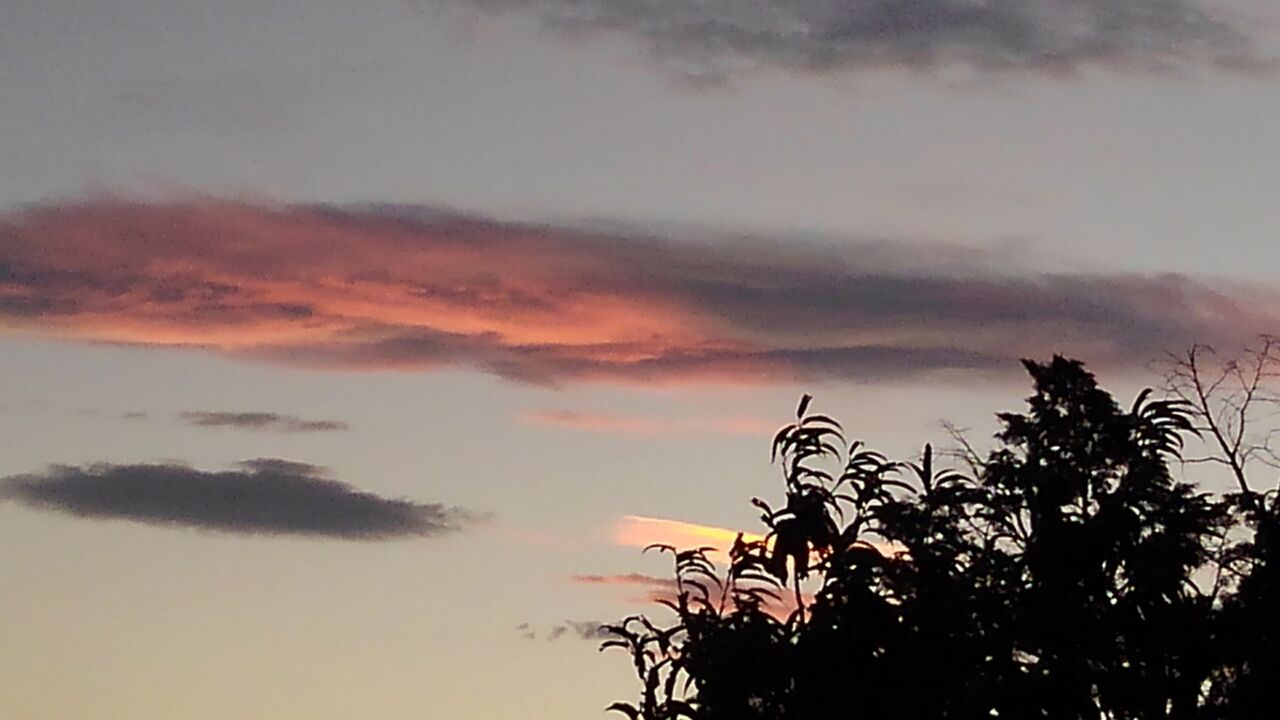 秋の夕焼け 秋夕焼 あきゆやけ 秋夕映 あきゆうばえ ハックン俳句でしょ 愛犬ハックと俳句を楽しむ日々 秋の夕焼け 秋夕焼 あきゆやけ 秋夕映 あきゆうばえ ハックン俳句でしょ 愛犬ハックと俳句を楽しむ日々